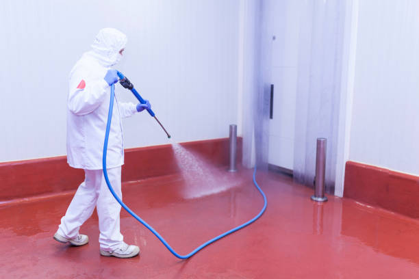 Best Building Exterior Washing  in Wappingers Falls, NY